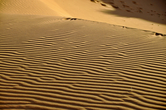 Sahara Desert